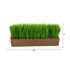 Nearly Natural 12-in Grass Artificial Plant In Decorative Planter 2 Nearly Natural 12-in Grass Artificial Plant In Decorative Planter -Nearly Natural GUEST c9dc71a4 06e4 4a3e 8c5c 8615188072e7