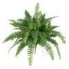 Boston Fern 2pk (40") - Nearly Natural -Nearly Natural GUEST d448836b bd3a 419a a065 f7099152adac