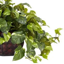 15" X 29" Artificial Pothos Plant In Decorative Vase - Nearly Natural