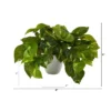 Nearly Natural 9-in Pothos Artificial Plant In White Planter (Real Touch) -Nearly Natural GUEST e40fff37 0a8c 410d bb61 1d5003fa3d04