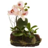 10" X 7" 2pc Artificial Orchid Island Set White/Purple - Nearly Natural
