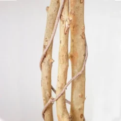 60" Artificial Ficus Tree In Pot Black - Nearly Natural -Nearly Natural GUEST ebe95837 fcb4 4324 992a af398117cfc4