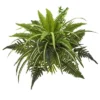 Nearly Natural 22-in Mixed Greens And Fern Artificial Bush Plant (Set Of 3) -Nearly Natural GUEST ee278a3c 13d6 42ab a0a5 1aad3afa7dc5