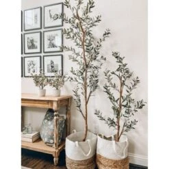 Nearly Natural 3.5-ft Olive Artificial Tree 10 Nearly Natural 3.5-ft Olive Artificial Tree -Nearly Natural GUEST eedcc927 f663 47ff 88de 7241a629267e