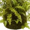 13" X 17" Artificial Fern Plant With Twig And Moss Basket- Nearly Natural