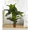 Nearly Natural 5' Dieffenbachia Silk Plant (Real Touch)